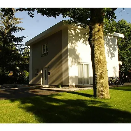 Elegance Comfortable *