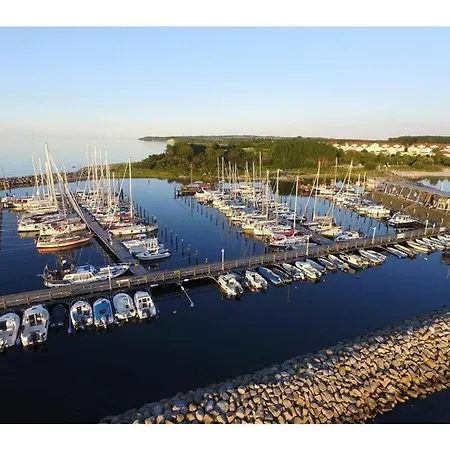 Elegance Comfortable